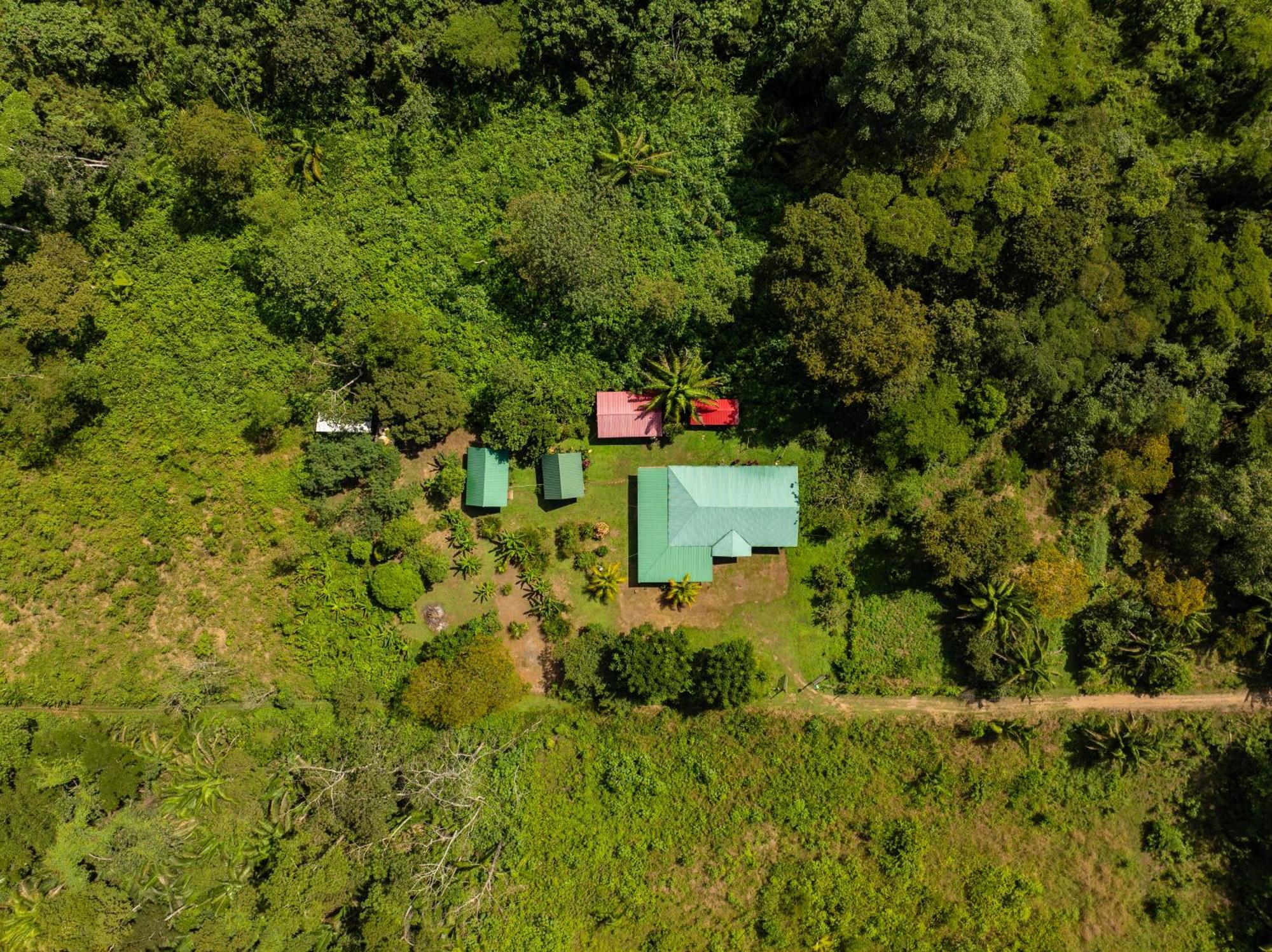 Quirquincho House Lodge Πουέρτο Μαλντονάντο Εξωτερικό φωτογραφία